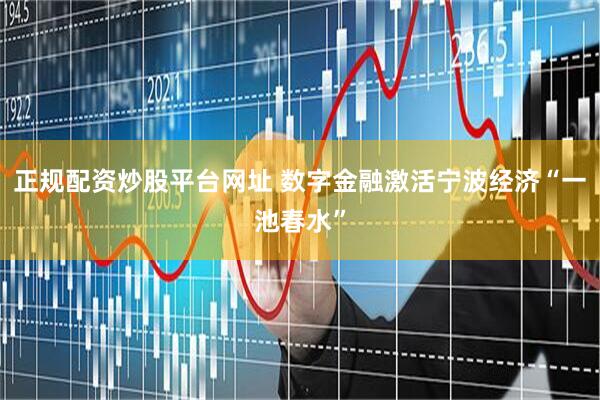 正规配资炒股平台网址 数字金融激活宁波经济“一池春水”