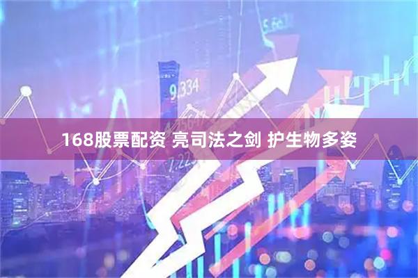 168股票配资 亮司法之剑 护生物多姿