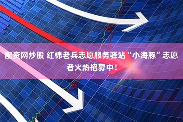 配资网炒股 红棉老兵志愿服务驿站“小海豚”志愿者火热招募中！