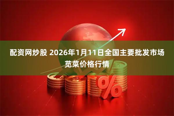 配资网炒股 2026年1月11日全国主要批发市场苋菜价格行情
